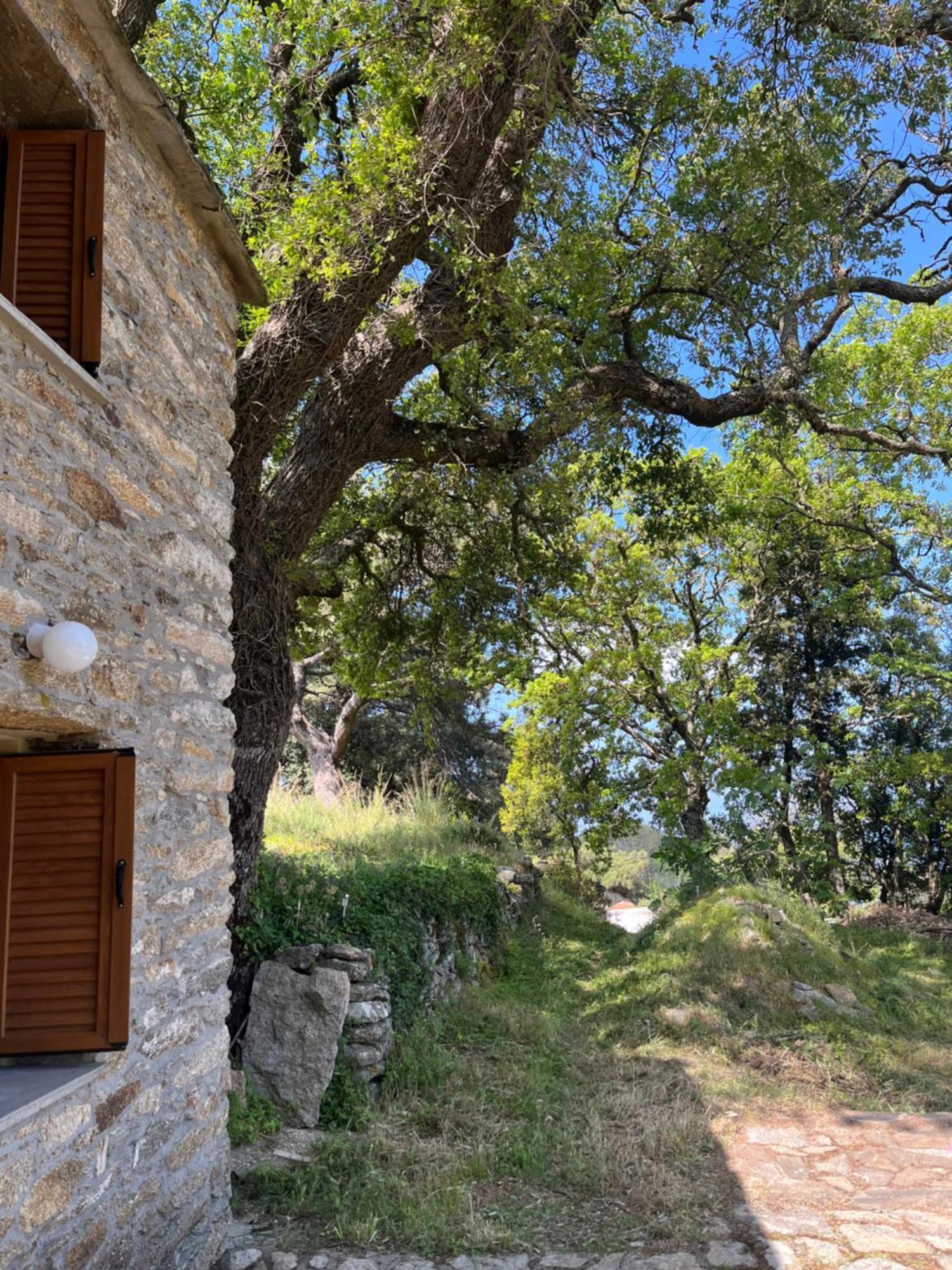 Cozy Hide Away Frantato